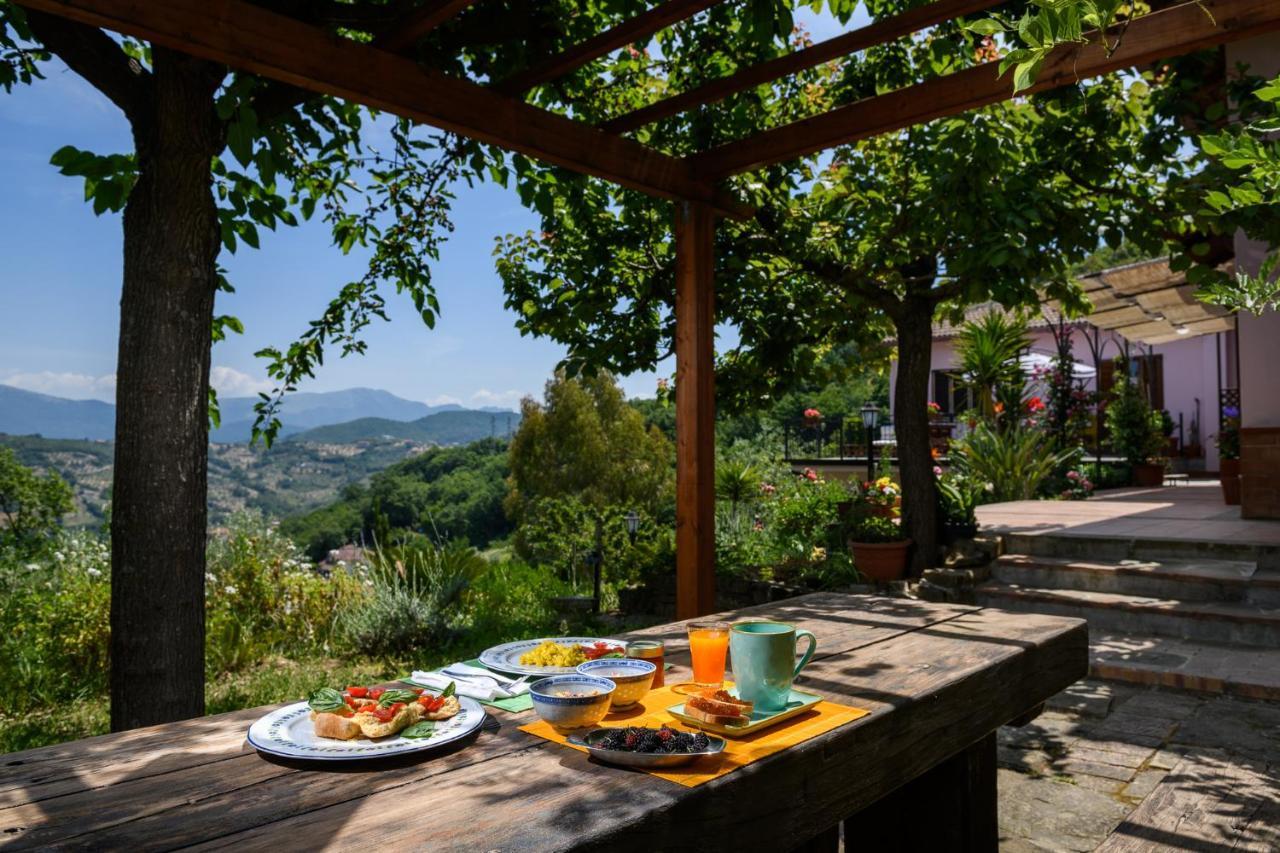 B&B Albachiara Casa Di Campagna Ogliastro Cilento Extérieur photo
