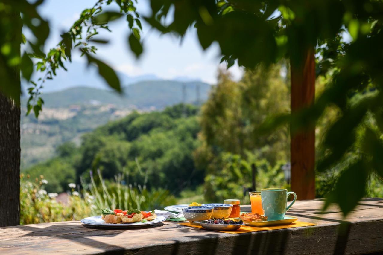 B&B Albachiara Casa Di Campagna Ogliastro Cilento Extérieur photo
