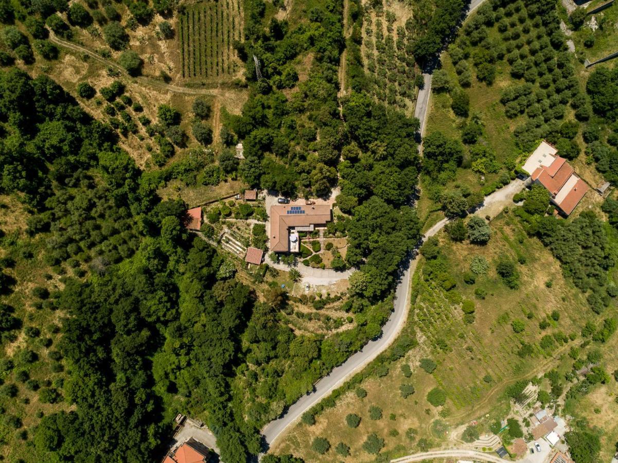 B&B Albachiara Casa Di Campagna Ogliastro Cilento Extérieur photo