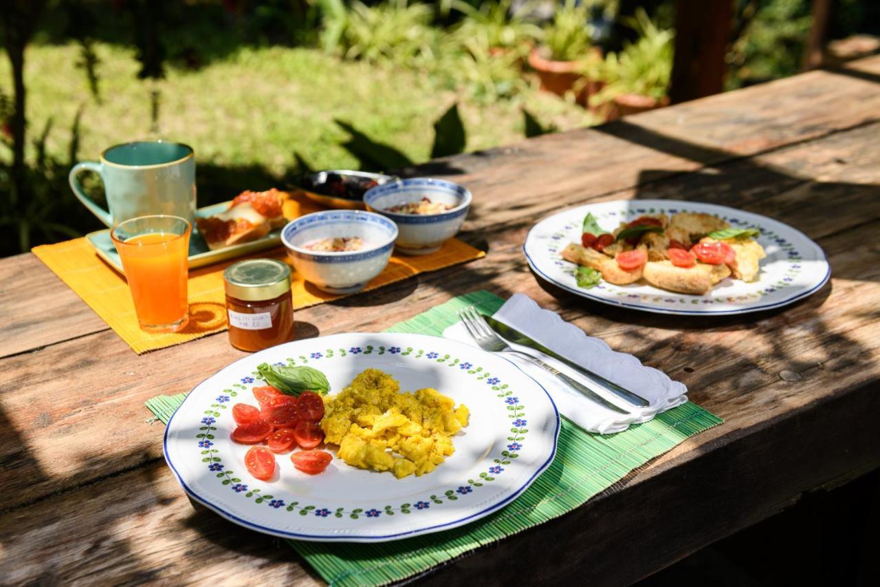 B&B Albachiara Casa Di Campagna Ogliastro Cilento Extérieur photo