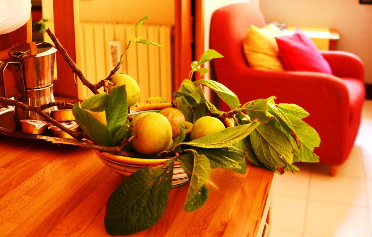 B&B Albachiara Casa Di Campagna Ogliastro Cilento Extérieur photo