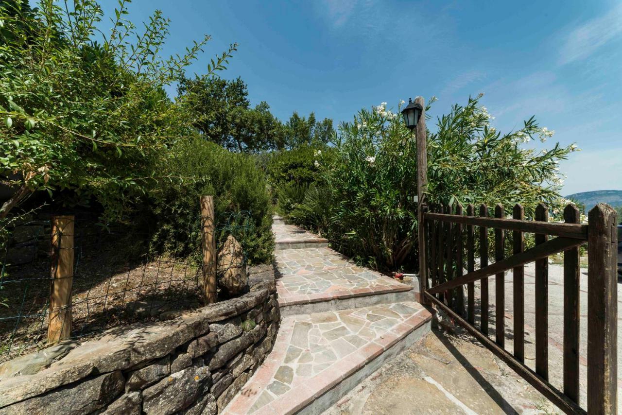 B&B Albachiara Casa Di Campagna Ogliastro Cilento Extérieur photo